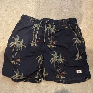 Katin Black Palm Tree Swim Board Shorts